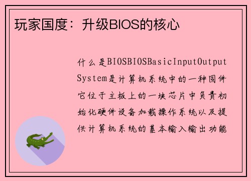 玩家国度：升级BIOS的核心